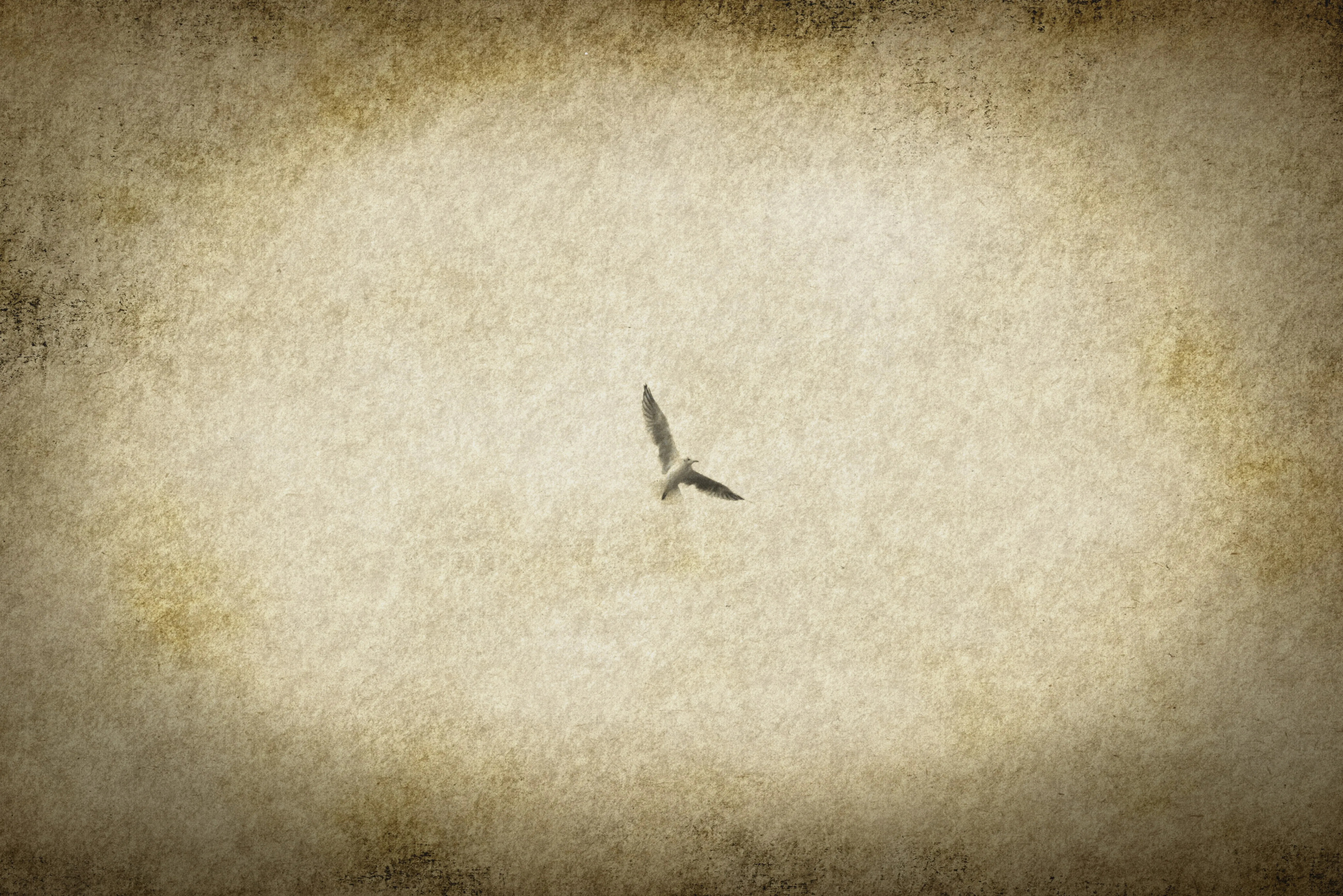 Libertad