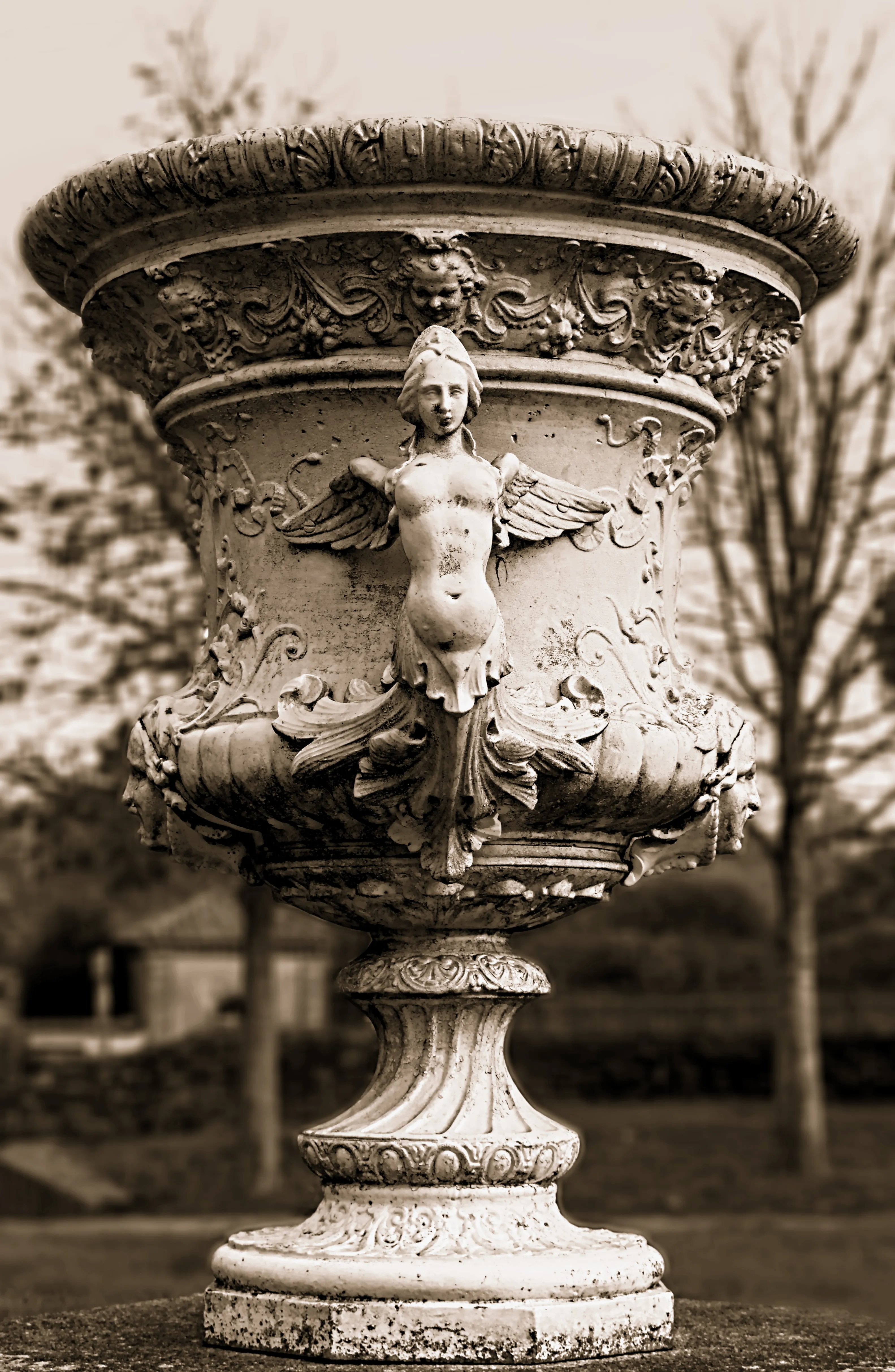 La Coupe du Silence